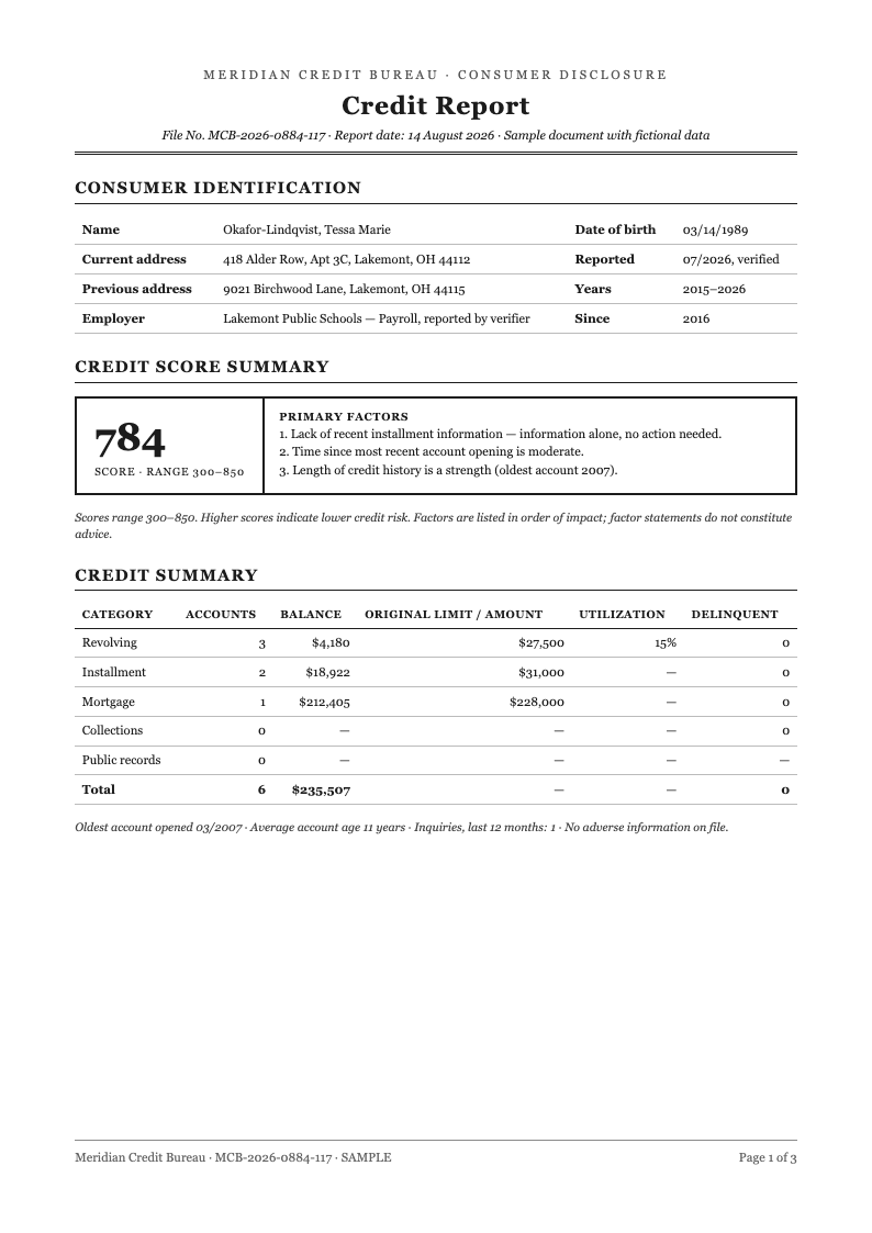 Classic professional credit report